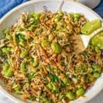 Colorful Asian cabbage salad with crunchy vegetables and creamy peanut dressing served in large bowl.