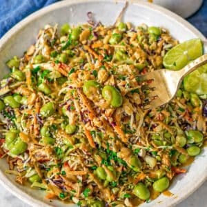 Colorful Asian cabbage salad with crunchy vegetables and creamy peanut dressing served in large bowl.