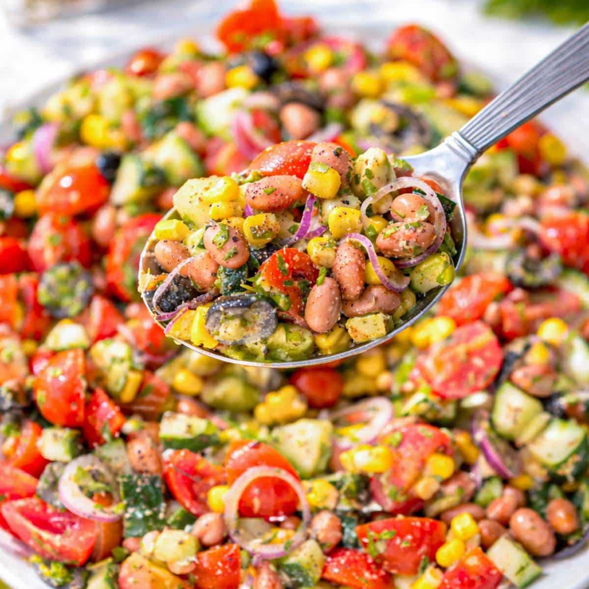 Pinto bean salad served in simple bowl near window with bright natural light and fresh colors.