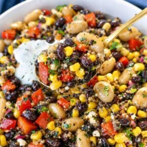 Close-up of Mexican bean salad with quinoa, black beans, corn, feta, and creamy yogurt dressing.