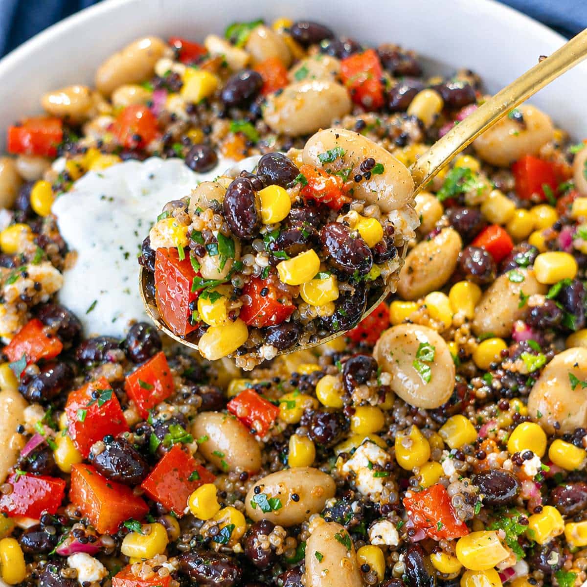 Close-up of Mexican bean salad with quinoa, black beans, corn, feta, and creamy yogurt dressing.