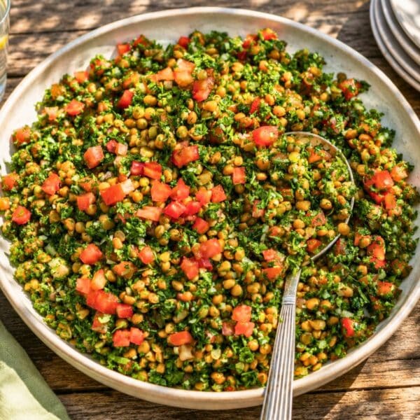 Summer lentil salad served outside with a spoon.
