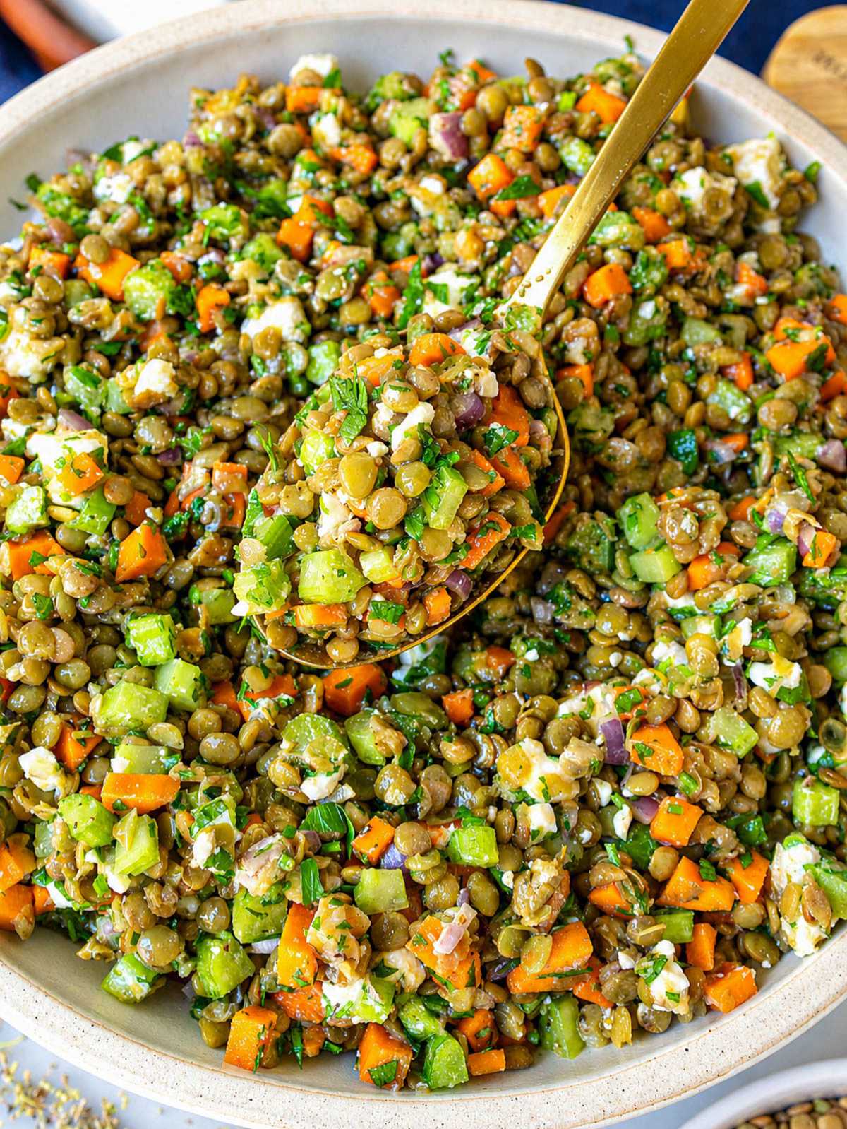 Close-up of glossy French lentil salad with feta, walnuts, and crisp vegetables.