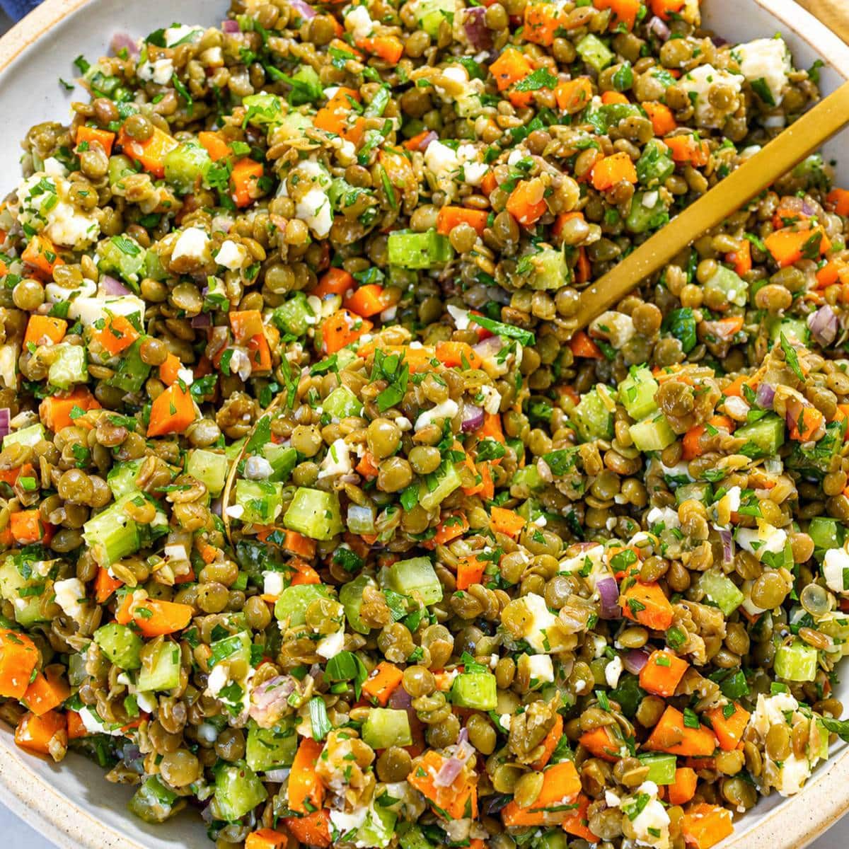 French lentil salad served in a bowl on white marble in daylight.