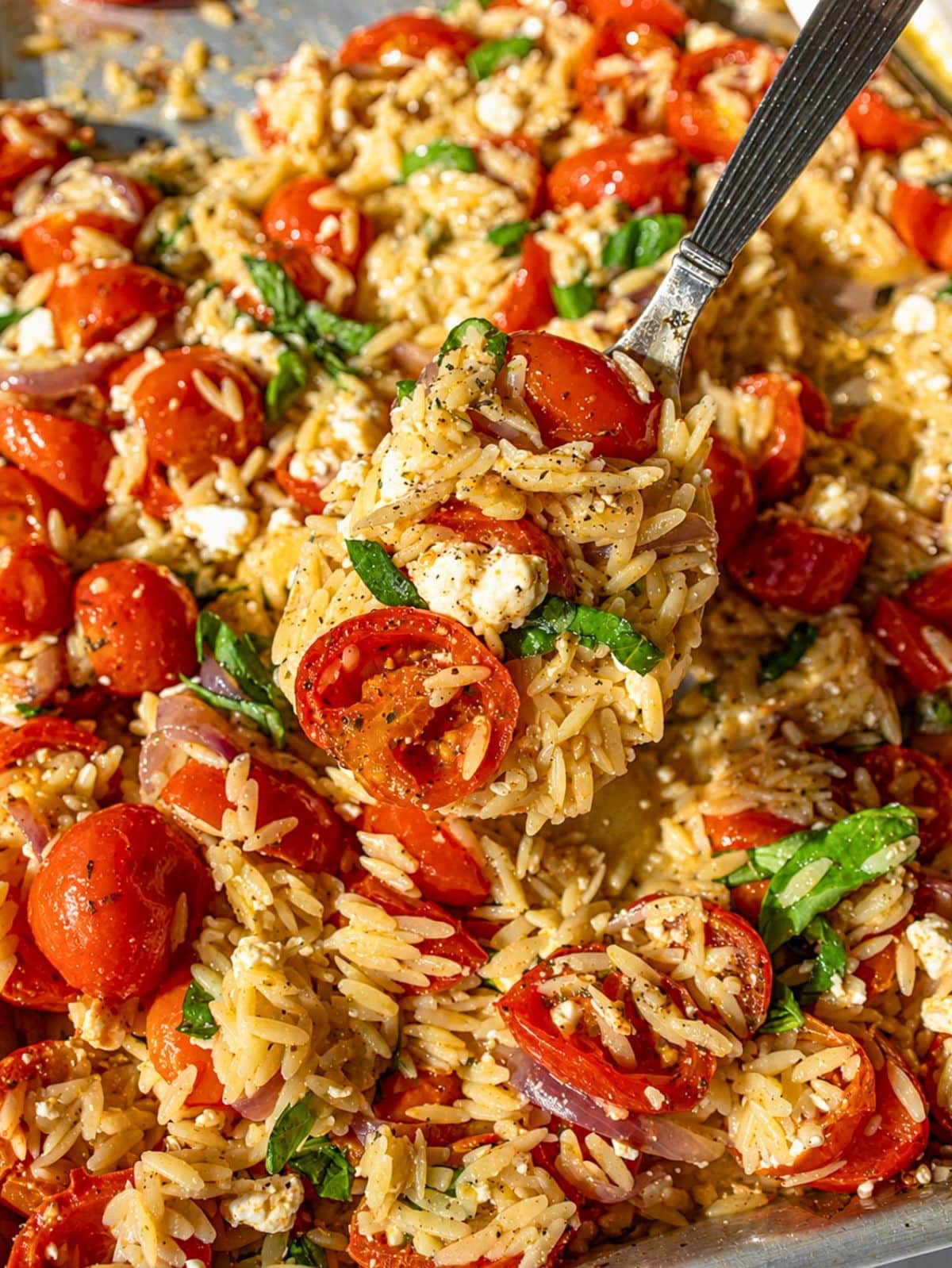 Glossy roasted tomato orzo on sheet pan with feta and fresh basil.