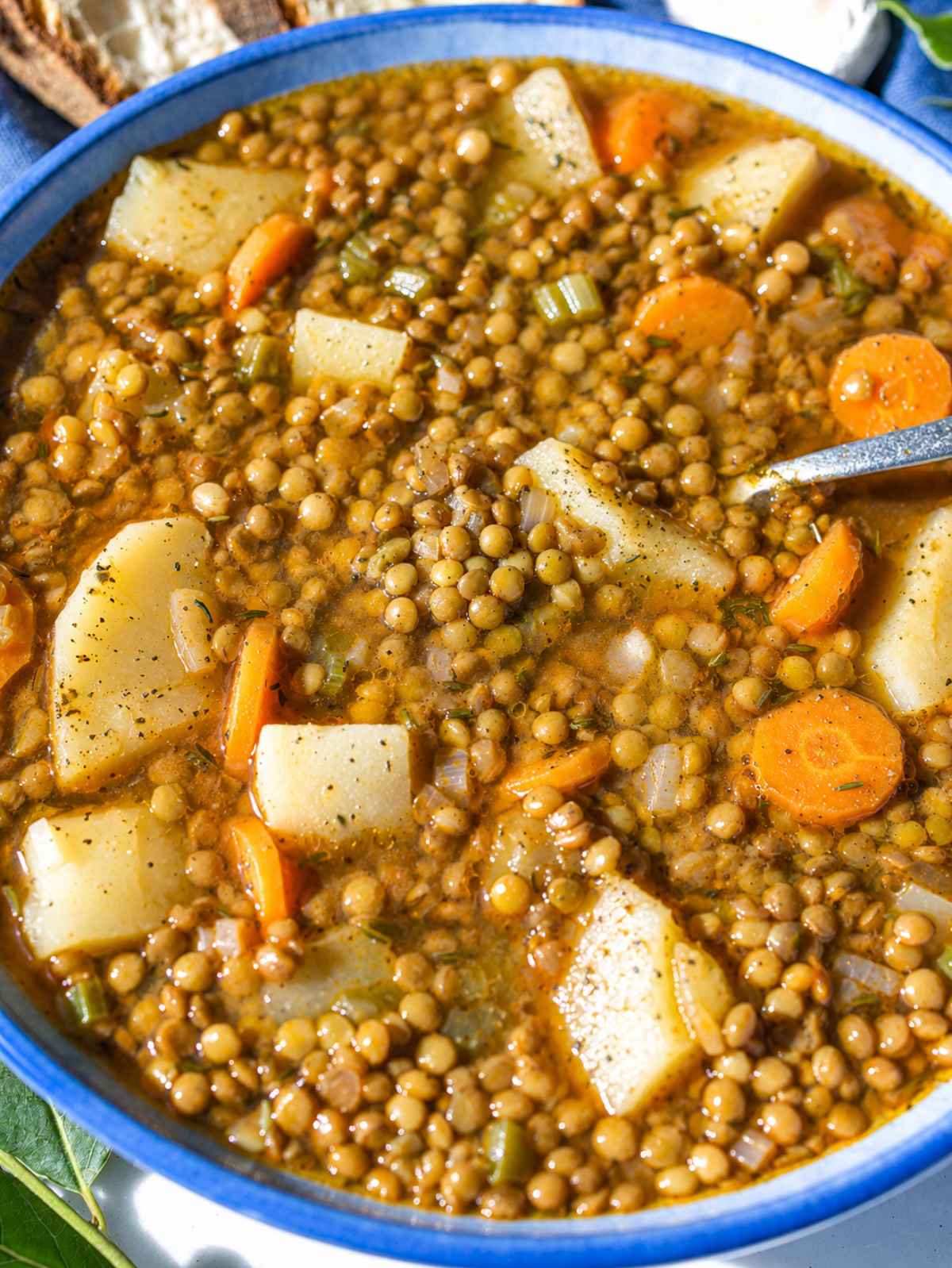 Close-up of French lentil soup showing tender lentils, potatoes, and vegetables.