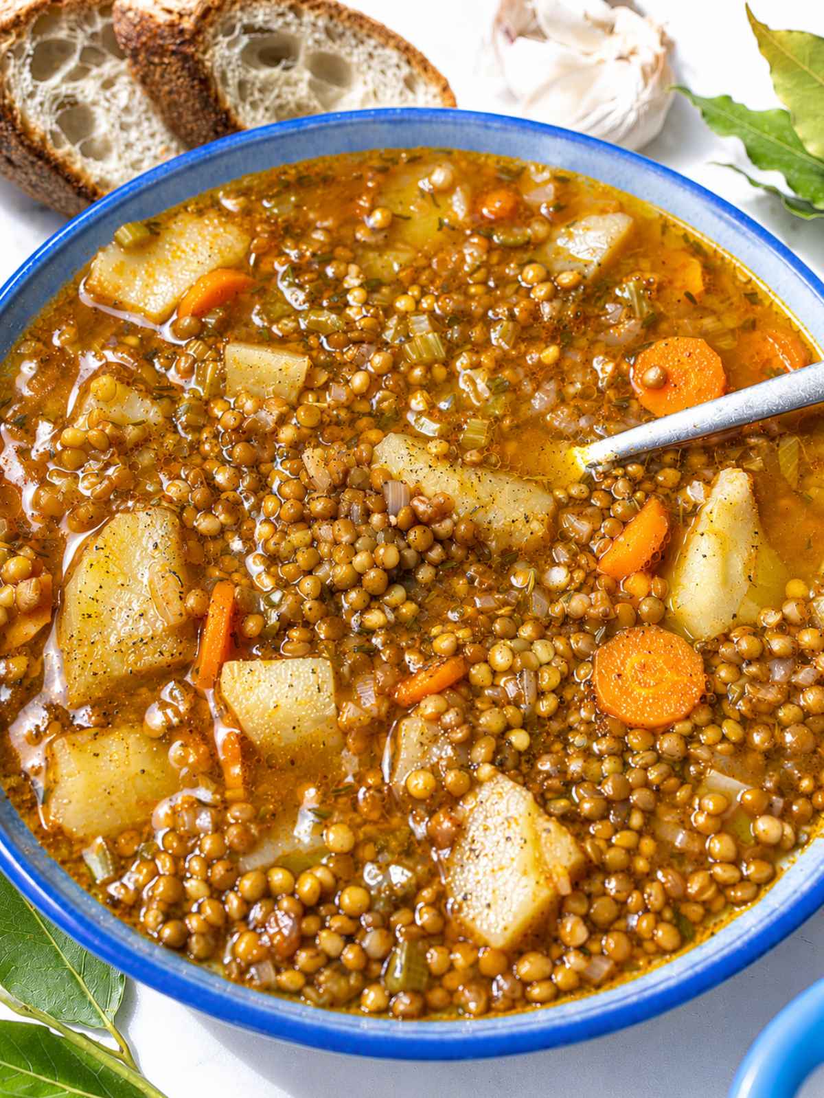 Close-up of French lentil soup with tender lentils, potatoes, and vegetables.