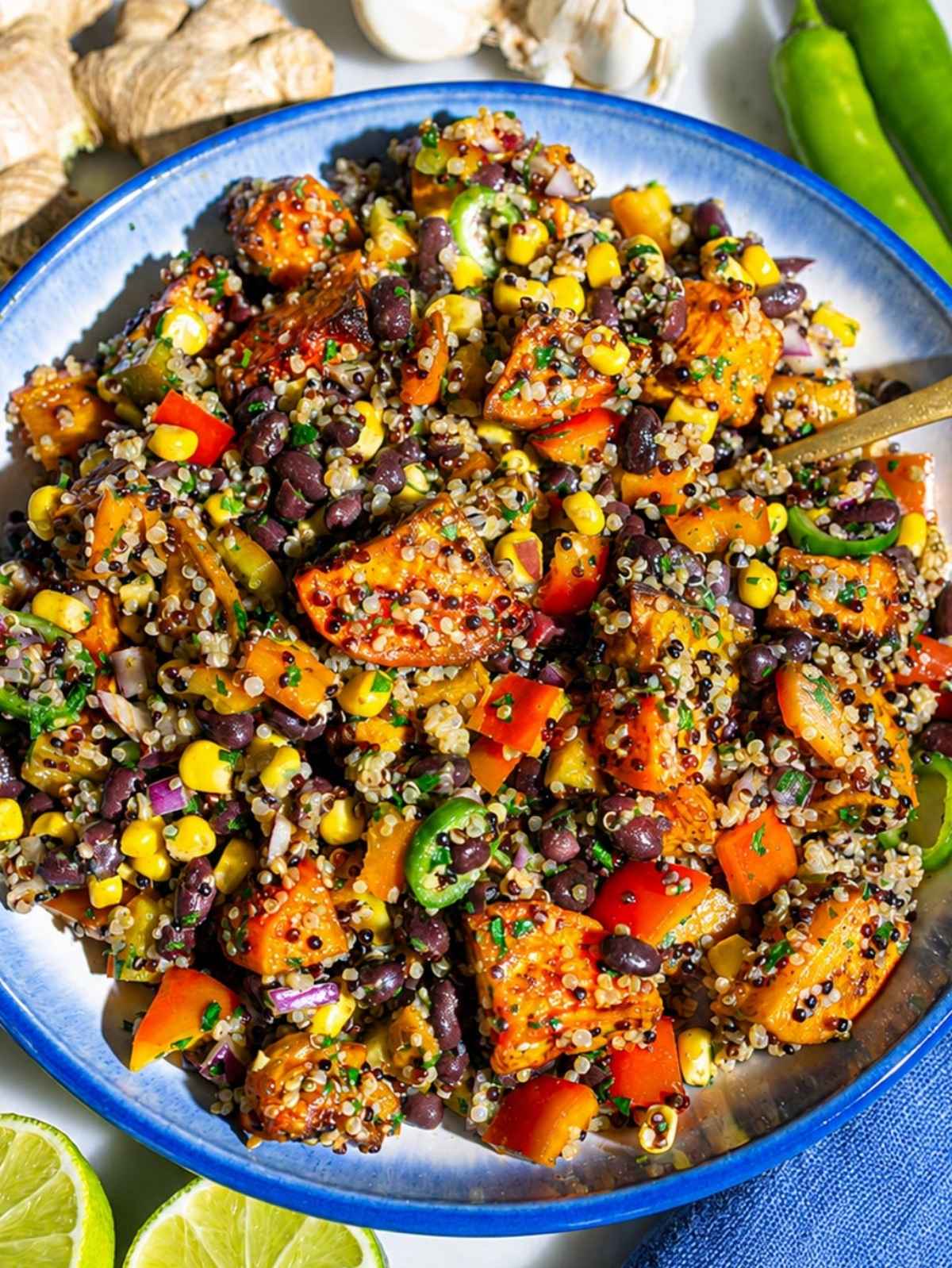 Close-up of glossy charred sweet potatoes, quinoa, black beans, corn, and cilantro
