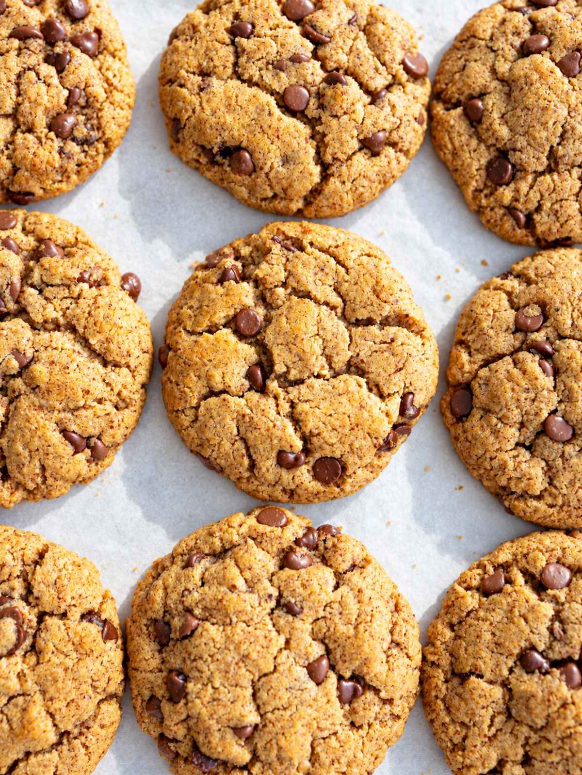 Close-up of chewy almond butter cookie with glossy melted chocolate chips