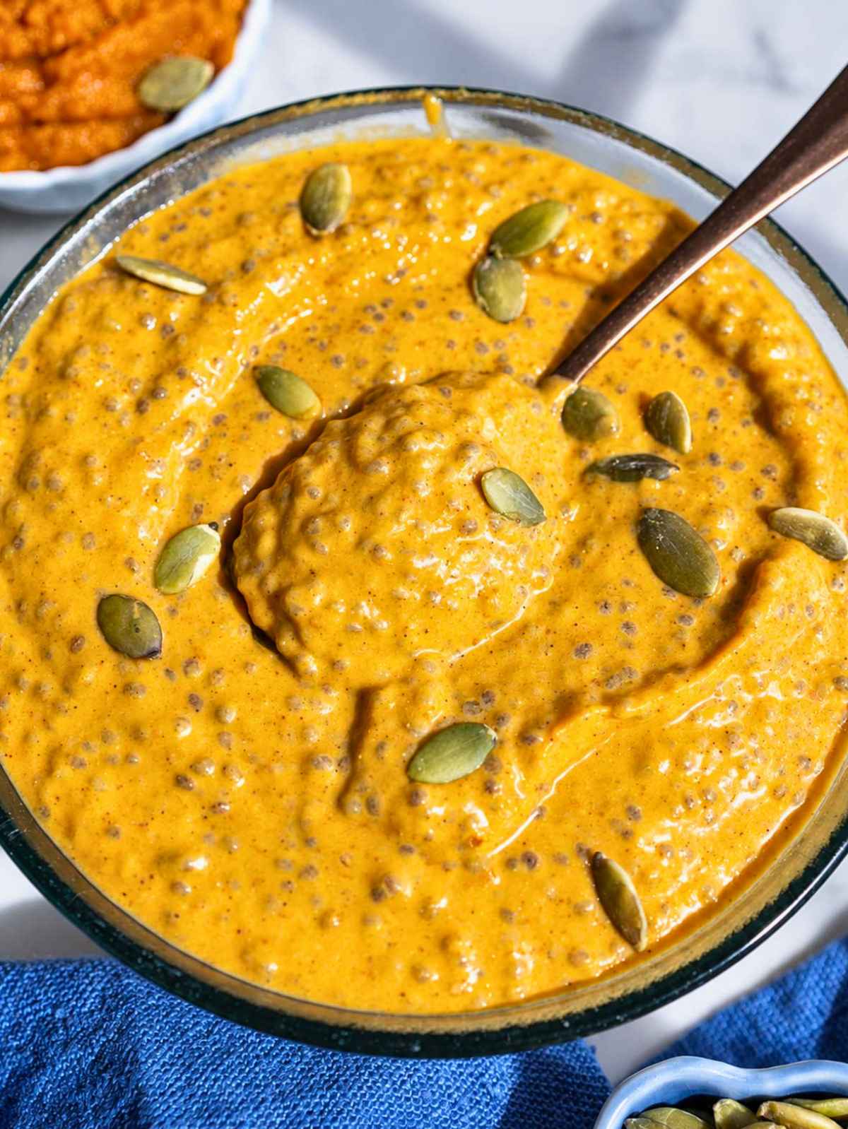 Close-up of creamy pumpkin chia pudding showing chia seeds and glossy texture.