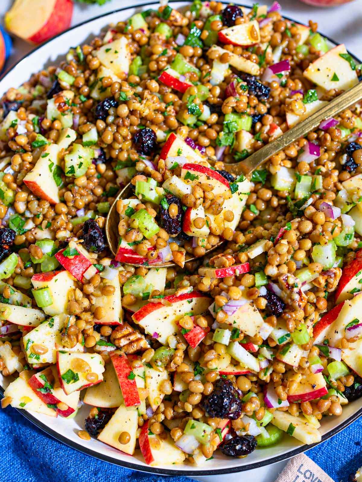 Close-up of glossy lentil salad, crisp apples, cranberries, pecans, and parsley.