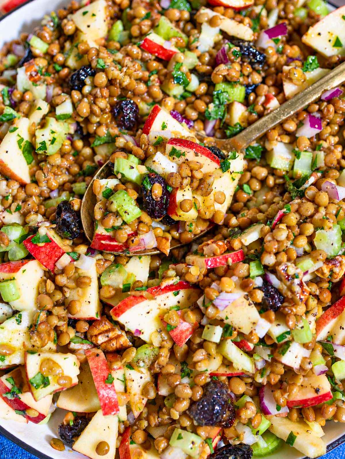 Close-up of glossy lentils, crisp apples, cranberries, pecans, and parsley.