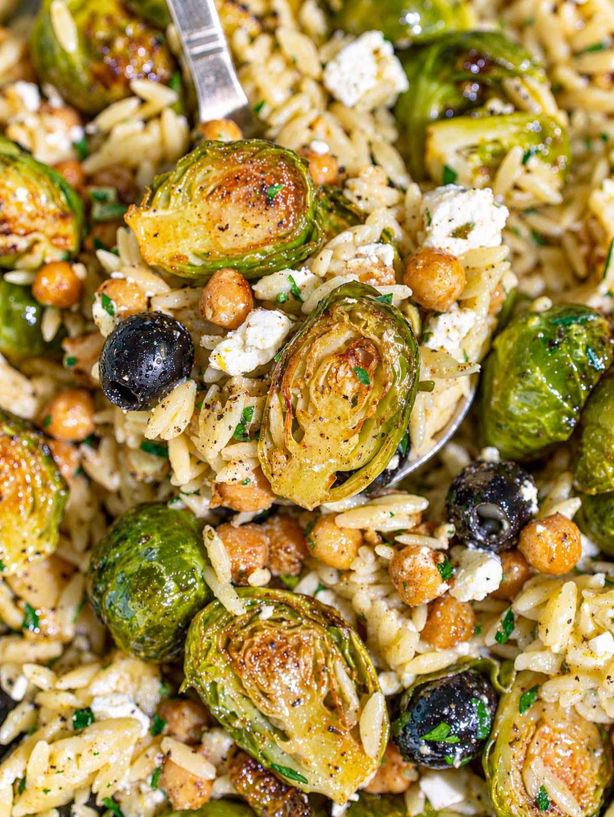 Close-up of glossy orzo with charred Brussels sprouts, chickpeas, feta, and olives.