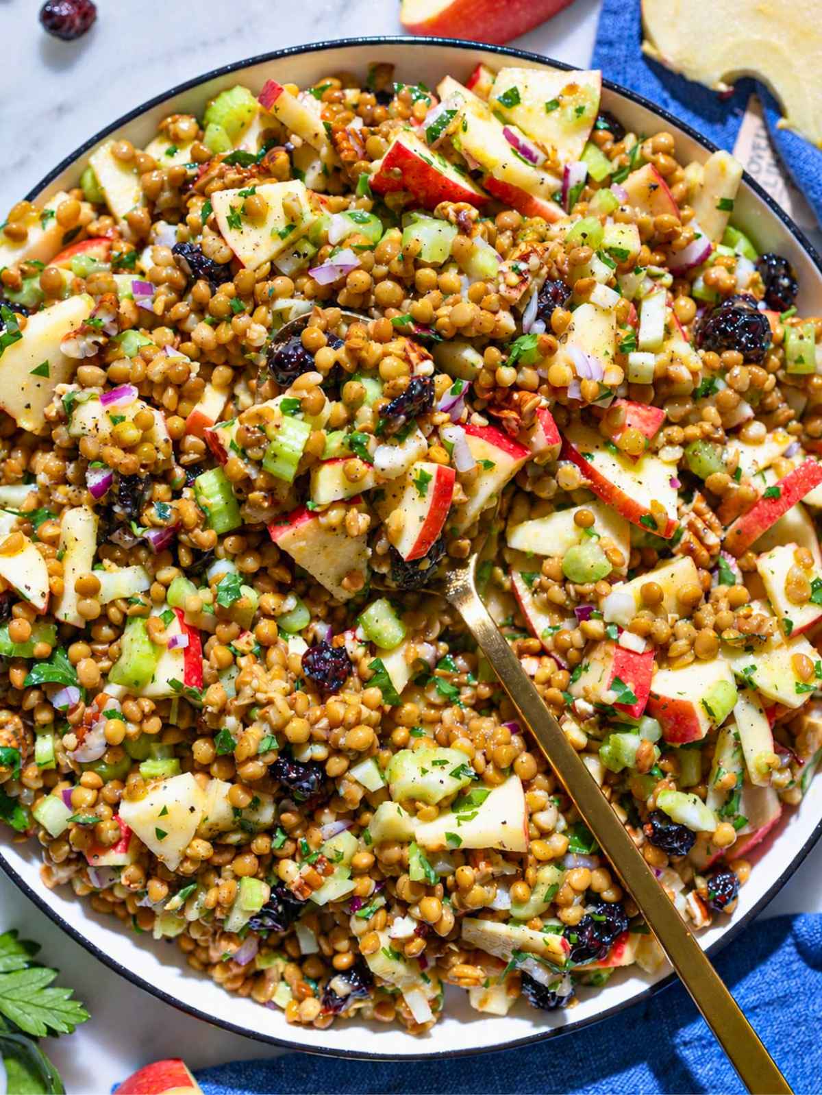 Lentil apple salad with apples, cranberries, pecans, celery, and parsley.