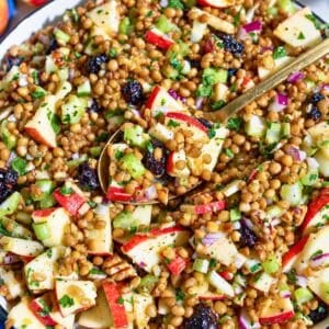 Lentil apple salad with glossy lentils, apples, cranberries, and crunchy pecans.