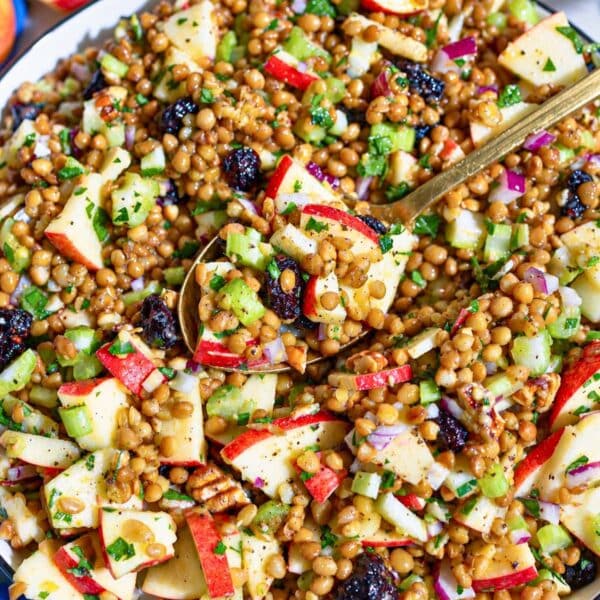 Lentil apple salad with glossy lentils, apples, cranberries, and crunchy pecans.