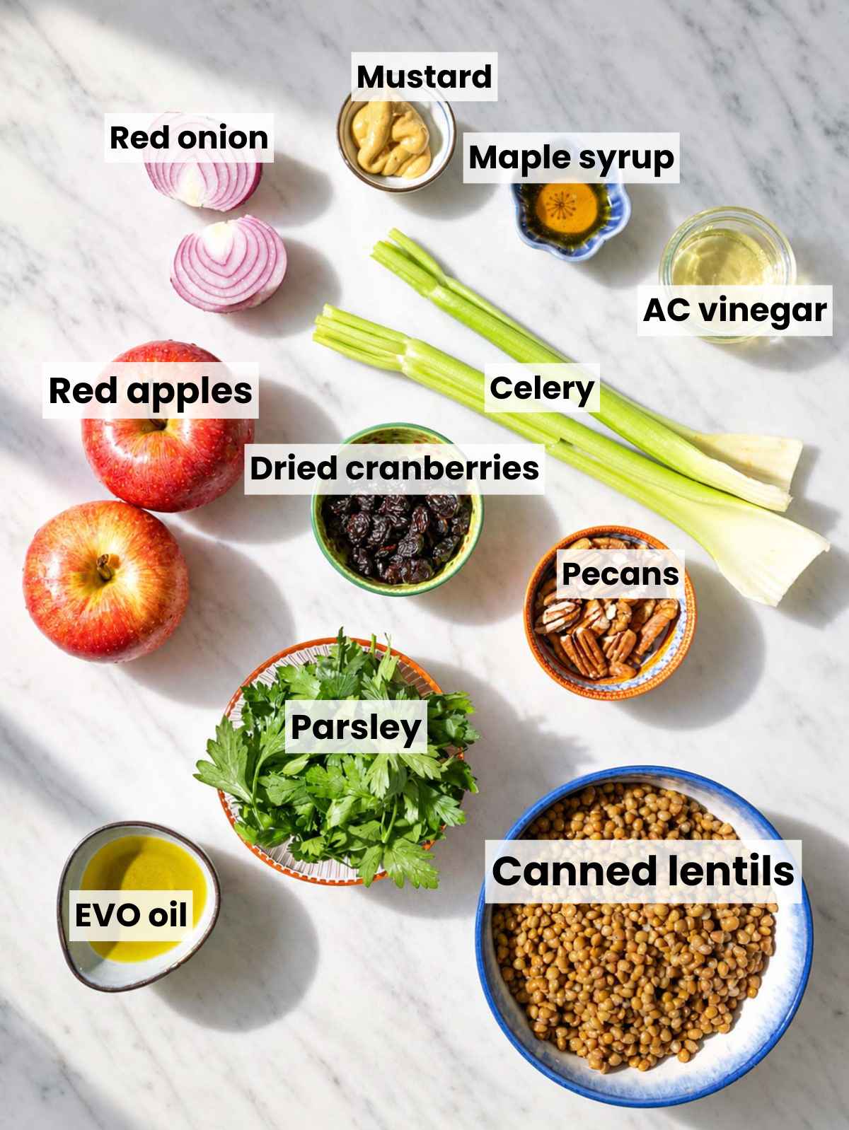 Lentils, apples, celery, cranberries, pecans, parsley, onion, and dressing ingredients.