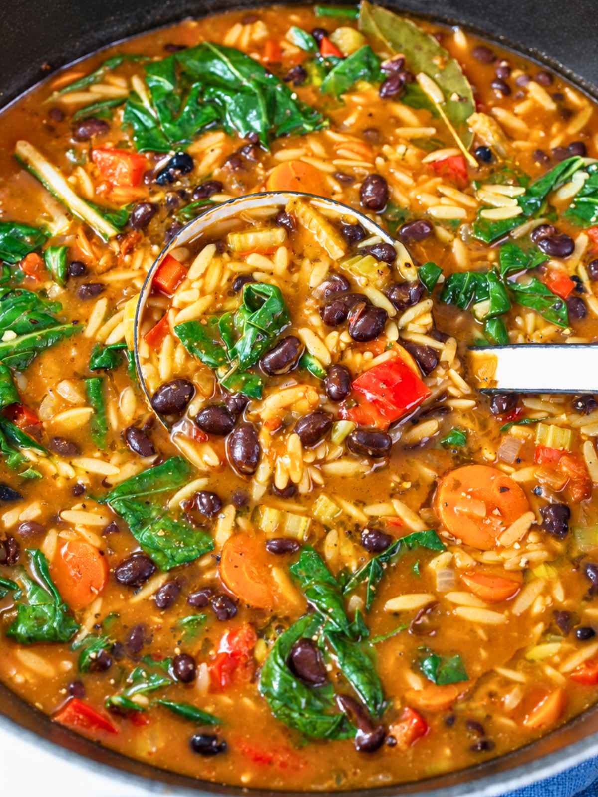 Close-up of glossy black beans, tender orzo, vegetables, and spinach.