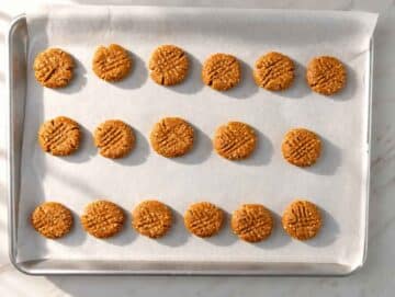 Step 3 Round cookie dough discs with fork marks arranged on parchment paper.
